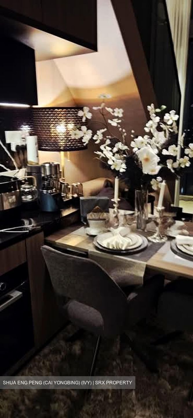 Irwell Hill Residences (D9), Apartment #563626421